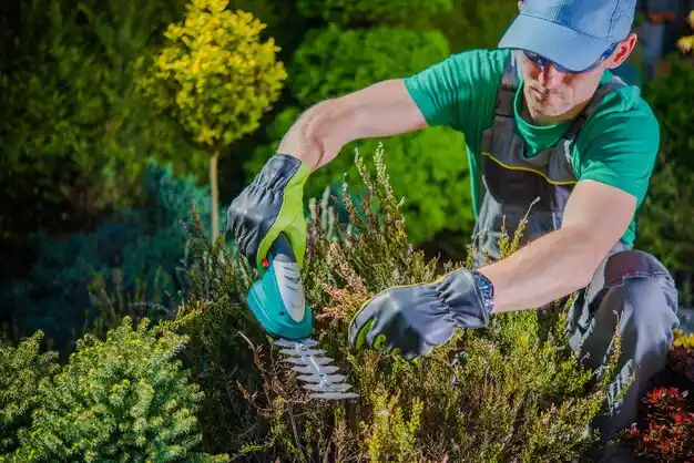 landscaping services Symsonia